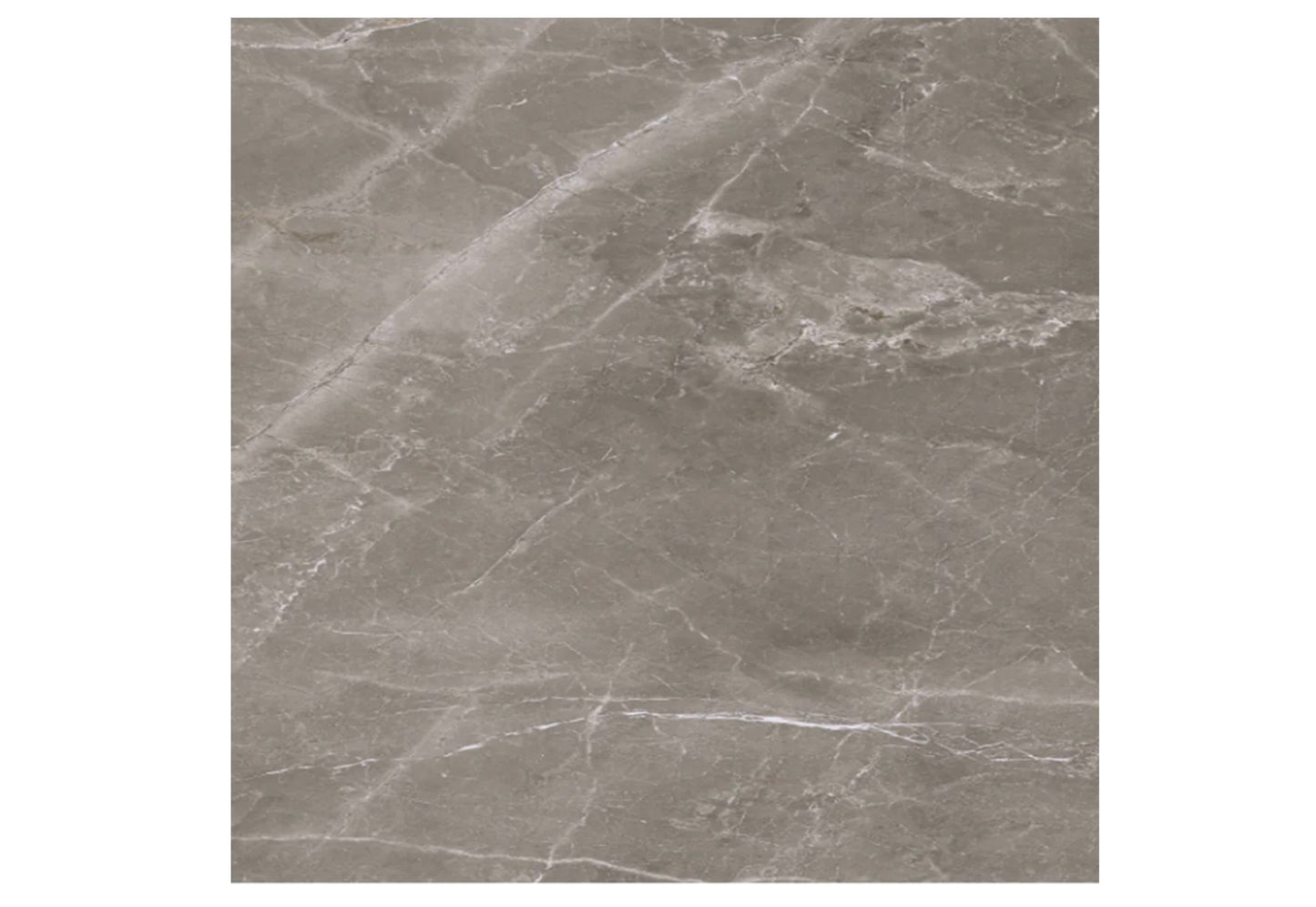 Porcelain Pris Fior Di Bosco Noce Polished Tile 24x24 in G2