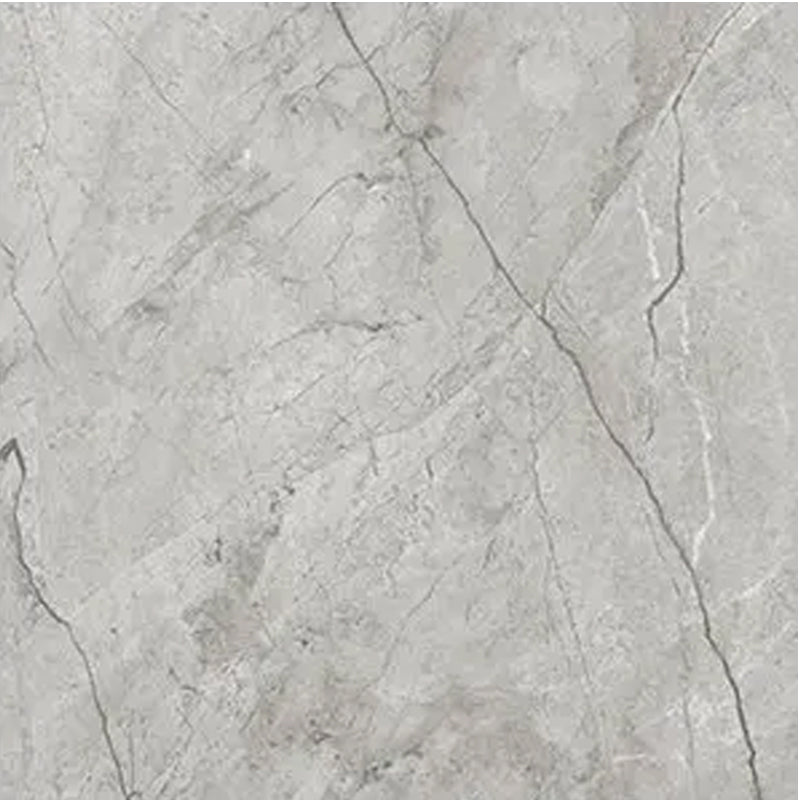 Porcelain La Marca Paradiso Argento Glazed Porcelain Tile 24 x 24 in