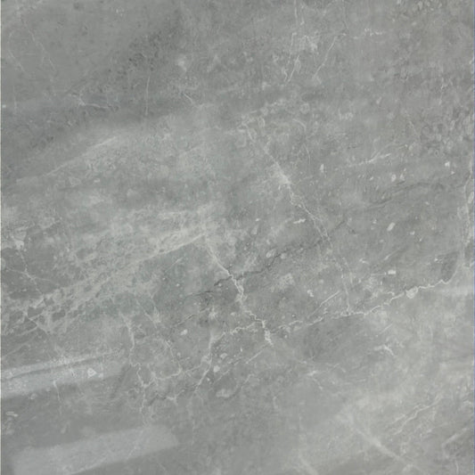 Porcelain Plata Perla Grigia Polished 24x24  in.