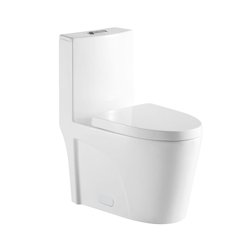 Toilette monobloc, forme de cuvette allongée Blanc NRD-CL-12011