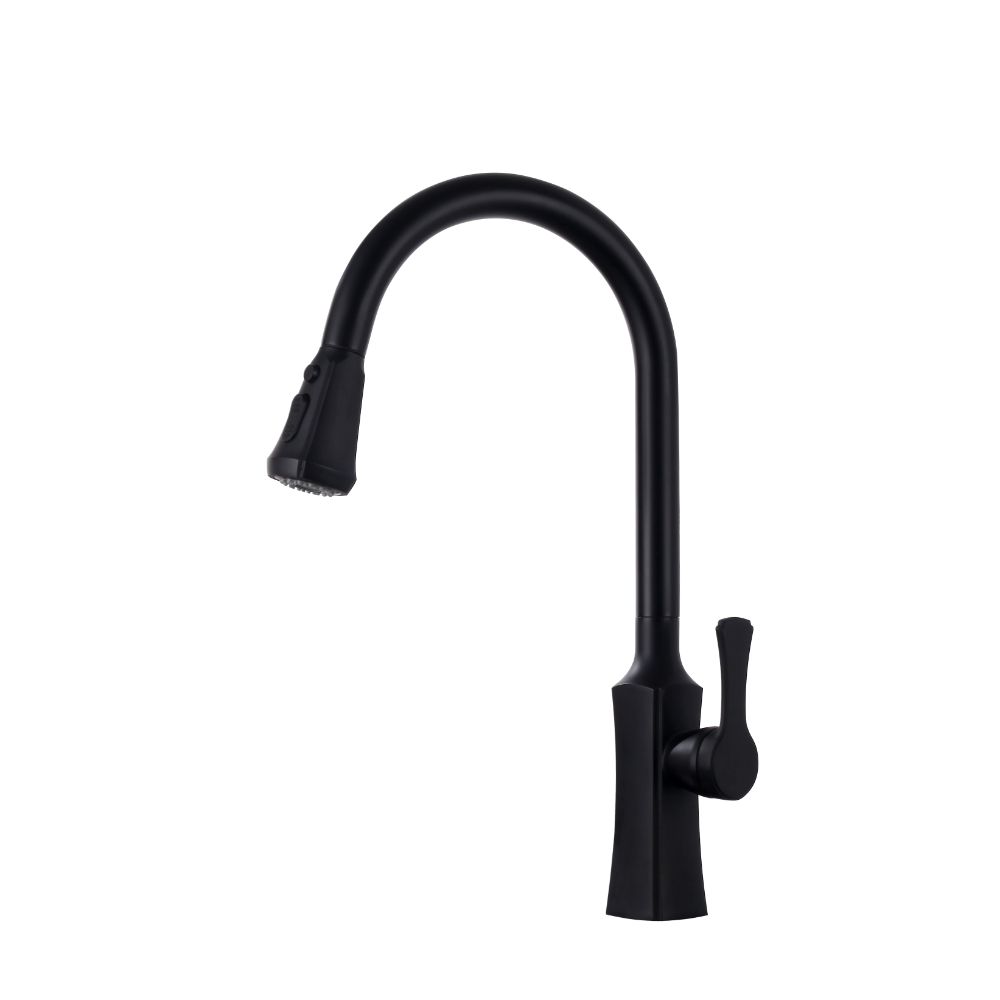 Nortrends Kitchen Faucet Black