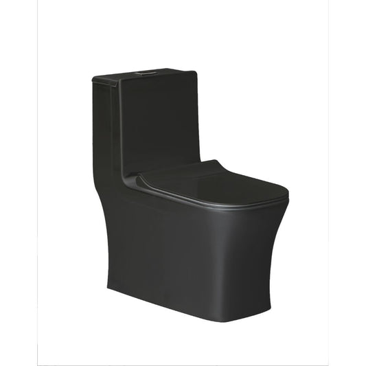 One-Piece Toilet, elongated bowl shape Matte Black NTD-CL-12044YA