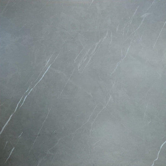 Camelia Gris Matte Rectified 24x24in